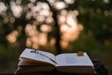 Hayatı Anlamlandıran Sanat