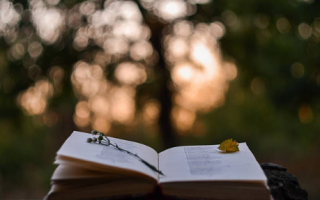 Hayatı Anlamlandıran Sanat